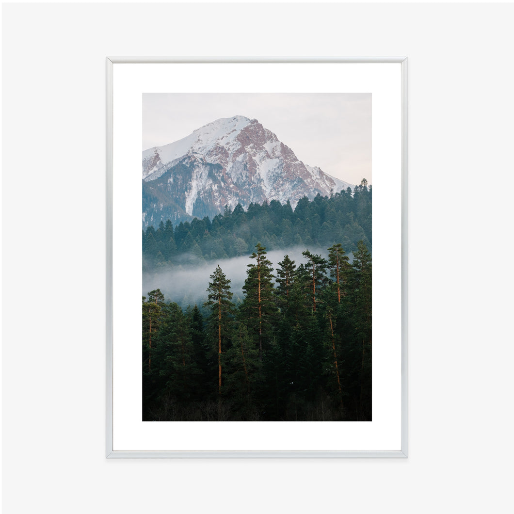 Poster Berggrüner Wald Im Nebel Rahmen Aluminium Farbe Schwarz