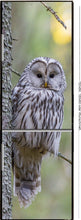 Lade das Bild in den Galerie-Viewer, Kühlschrank Folie Klebefolie selbstklebend Küche Tier Eule KU120