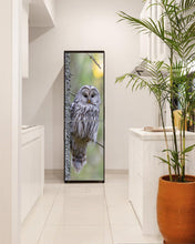 Lade das Bild in den Galerie-Viewer, Kühlschrank Folie Klebefolie selbstklebend Küche Tier Eule KU120