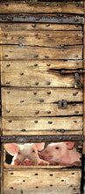 Lade das Bild in den Galerie-Viewer, Türtapete Stalltür Türposter selbstklebend Ferkel  Tier Bauernhof 1800L
