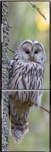Lade das Bild in den Galerie-Viewer, Kühlschrank Folie Klebefolie selbstklebend Küche Tier Eule KU120