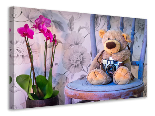 Leinwandbild auf Rahmen  Kamera Teddybär