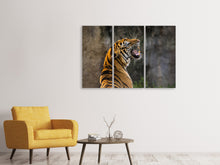 Lade das Bild in den Galerie-Viewer, Leinwandbild 3-teilig Achtung Tiger
