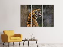 Lade das Bild in den Galerie-Viewer, Leinwandbild 3-teilig Achtung Tiger
