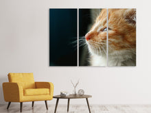 Lade das Bild in den Galerie-Viewer, Leinwandbild 3-teilig Kitten Nase

