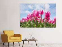 Lade das Bild in den Galerie-Viewer, Leinwandbild 3-teilig Tulpenfeld in rosa