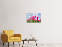 Lade das Bild in den Galerie-Viewer, Leinwandbild 3-teilig Tulpenfeld in rosa
