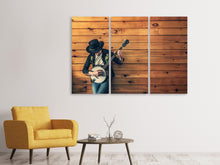 Lade das Bild in den Galerie-Viewer, Leinwandbild 3-teilig Cooler Musiker