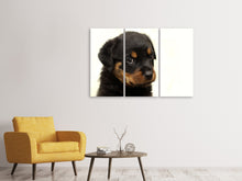 Lade das Bild in den Galerie-Viewer, Leinwandbild 3-teilig Rottweiler Welpe zum Verlieben