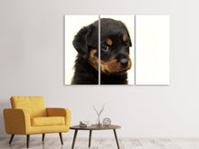 Lade das Bild in den Galerie-Viewer, Leinwandbild 3-teilig Rottweiler Welpe zum Verlieben