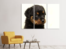 Lade das Bild in den Galerie-Viewer, Leinwandbild 3-teilig Rottweiler Welpe zum Verlieben