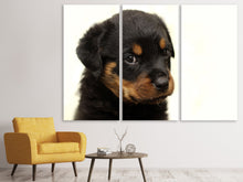 Lade das Bild in den Galerie-Viewer, Leinwandbild 3-teilig Rottweiler Welpe zum Verlieben