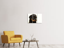Lade das Bild in den Galerie-Viewer, Leinwandbild 3-teilig Rottweiler Welpe zum Verlieben