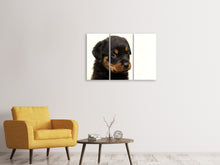 Lade das Bild in den Galerie-Viewer, Leinwandbild 3-teilig Rottweiler Welpe zum Verlieben