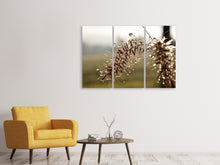 Lade das Bild in den Galerie-Viewer, Leinwandbild 3-teilig Tropfen der Natur