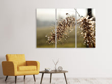 Lade das Bild in den Galerie-Viewer, Leinwandbild 3-teilig Tropfen der Natur