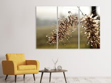 Lade das Bild in den Galerie-Viewer, Leinwandbild 3-teilig Tropfen der Natur
