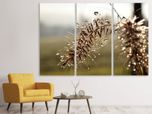 Lade das Bild in den Galerie-Viewer, Leinwandbild 3-teilig Tropfen der Natur