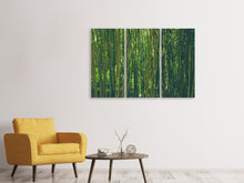 Lade das Bild in den Galerie-Viewer, Leinwandbild 3-teilig Mitten im Bambus