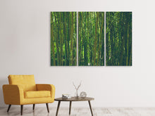 Lade das Bild in den Galerie-Viewer, Leinwandbild 3-teilig Mitten im Bambus