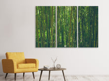 Lade das Bild in den Galerie-Viewer, Leinwandbild 3-teilig Mitten im Bambus