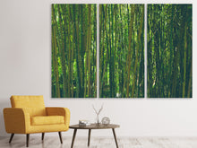Lade das Bild in den Galerie-Viewer, Leinwandbild 3-teilig Mitten im Bambus