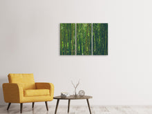Lade das Bild in den Galerie-Viewer, Leinwandbild 3-teilig Mitten im Bambus
