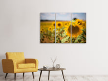 Lade das Bild in den Galerie-Viewer, Leinwandbild 3-teilig Eine Sonnenblume im Feld