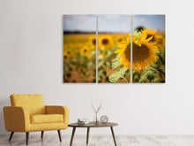 Lade das Bild in den Galerie-Viewer, Leinwandbild 3-teilig Eine Sonnenblume im Feld