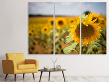 Lade das Bild in den Galerie-Viewer, Leinwandbild 3-teilig Eine Sonnenblume im Feld