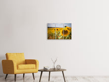 Lade das Bild in den Galerie-Viewer, Leinwandbild 3-teilig Eine Sonnenblume im Feld