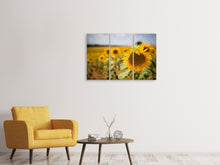 Lade das Bild in den Galerie-Viewer, Leinwandbild 3-teilig Eine Sonnenblume im Feld