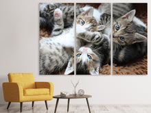 Lade das Bild in den Galerie-Viewer, Leinwandbild 3-teilig Viele Katzenbabys
