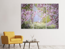 Lade das Bild in den Galerie-Viewer, Leinwandbild 3-teilig Im schönen Frühling
