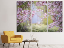 Lade das Bild in den Galerie-Viewer, Leinwandbild 3-teilig Im schönen Frühling