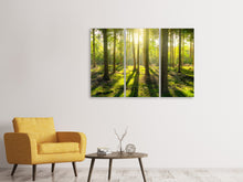 Lade das Bild in den Galerie-Viewer, Leinwandbild 3-teilig Mitten im Wald