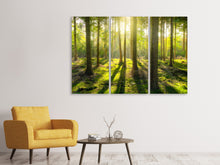 Lade das Bild in den Galerie-Viewer, Leinwandbild 3-teilig Mitten im Wald