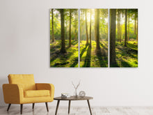 Lade das Bild in den Galerie-Viewer, Leinwandbild 3-teilig Mitten im Wald