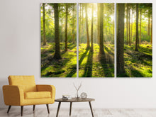 Lade das Bild in den Galerie-Viewer, Leinwandbild 3-teilig Mitten im Wald