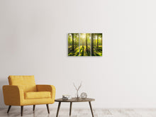 Lade das Bild in den Galerie-Viewer, Leinwandbild 3-teilig Mitten im Wald
