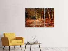 Lade das Bild in den Galerie-Viewer, Leinwandbild 3-teilig Natur im Herbst
