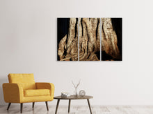 Lade das Bild in den Galerie-Viewer, Leinwandbild 3-teilig Baum Close Up