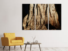 Lade das Bild in den Galerie-Viewer, Leinwandbild 3-teilig Baum Close Up