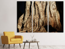 Lade das Bild in den Galerie-Viewer, Leinwandbild 3-teilig Baum Close Up