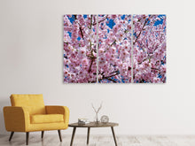 Lade das Bild in den Galerie-Viewer, Leinwandbild 3-teilig Die Japanische Zierkirsche