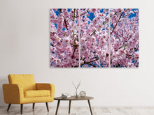 Lade das Bild in den Galerie-Viewer, Leinwandbild 3-teilig Die Japanische Zierkirsche