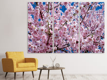 Lade das Bild in den Galerie-Viewer, Leinwandbild 3-teilig Die Japanische Zierkirsche