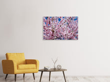 Lade das Bild in den Galerie-Viewer, Leinwandbild 3-teilig Die Japanische Zierkirsche