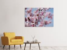 Lade das Bild in den Galerie-Viewer, Leinwandbild 3-teilig Japanische Zierkirsche Close up
