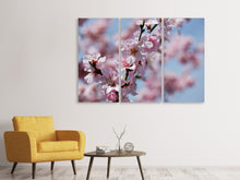 Lade das Bild in den Galerie-Viewer, Leinwandbild 3-teilig Japanische Zierkirsche Close up